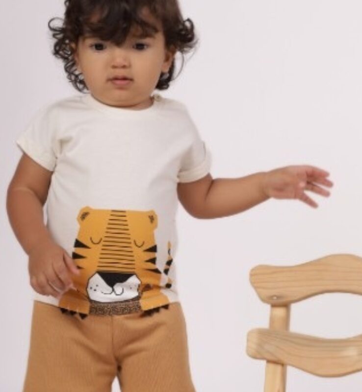 Conjunto Tigre